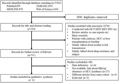 The incidence of hepatocellular carcinoma and clearance of hepatitis B surface for CHB patients in the indeterminate phase: a systematic review and meta-analysis